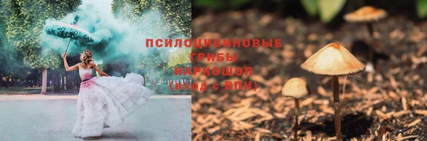 прущие крисы Зеленокумск