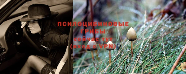 прущие крисы Заволжск