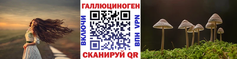 Галлюциногенные грибы Magic Shrooms  Купить  Нефтекумск 
